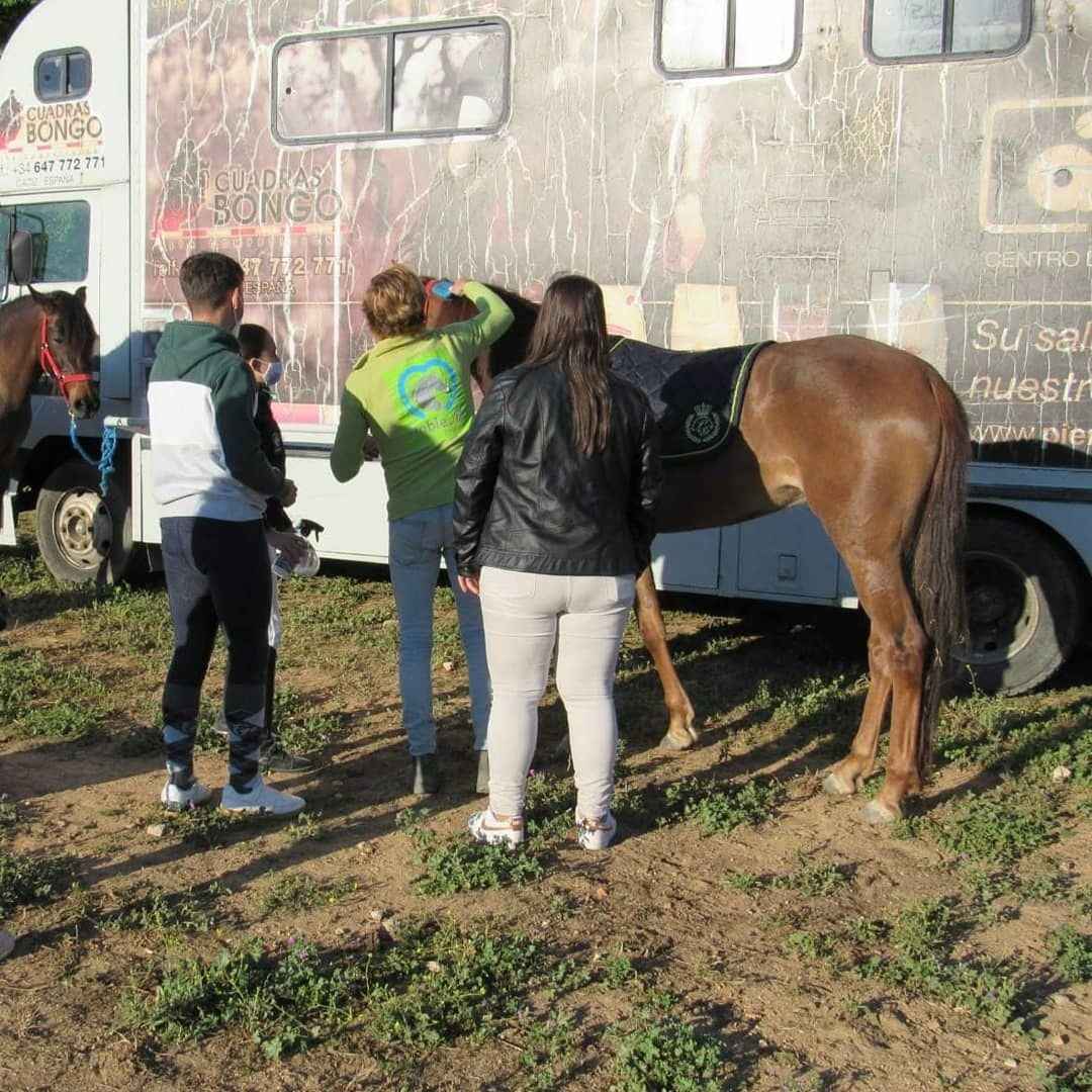 Clases de doma de caballo en Sevilla - Centro Hipica Doble M