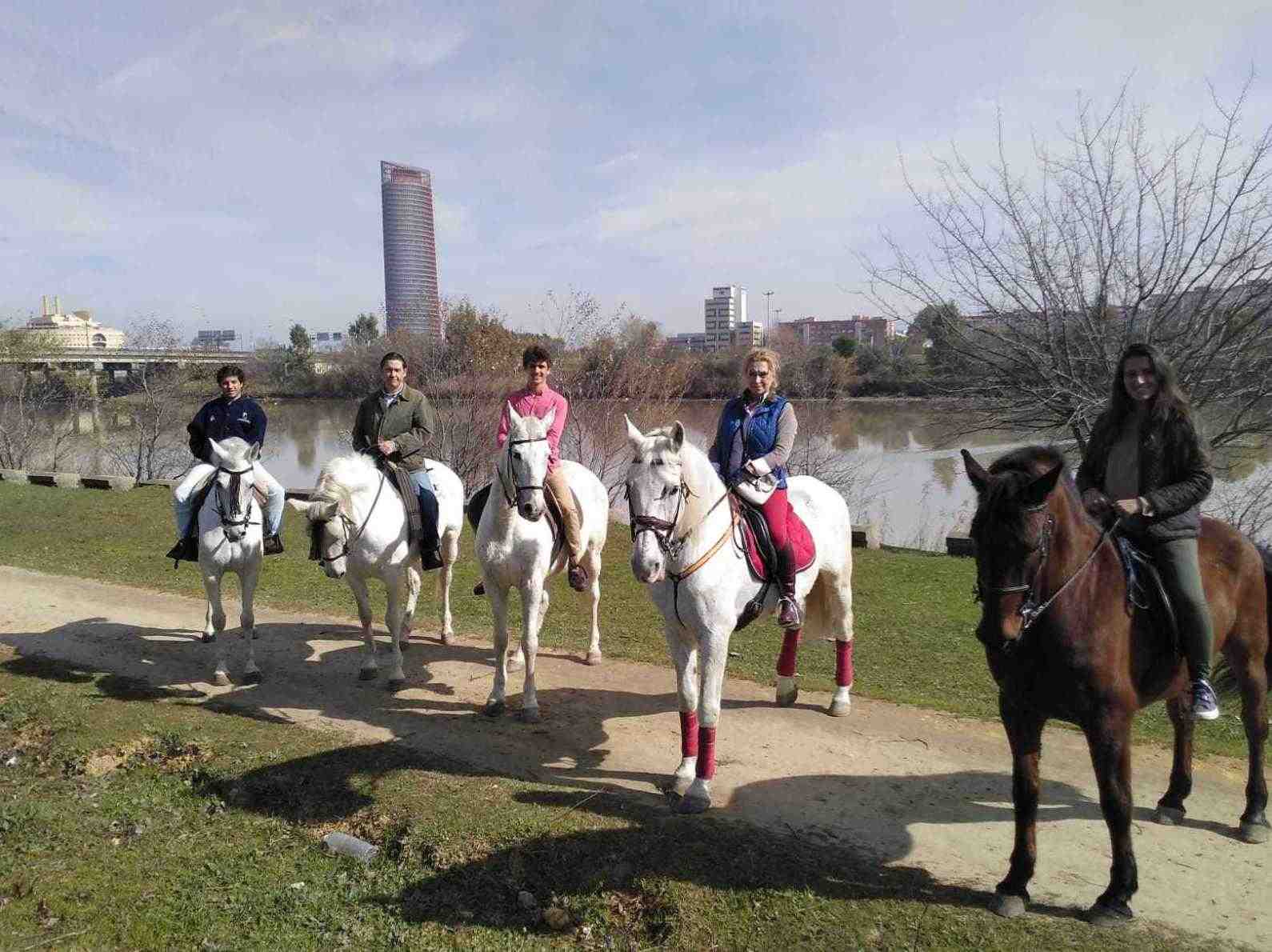Clases de hípica para adultos en Sevilla - Centro Hipico Doble M