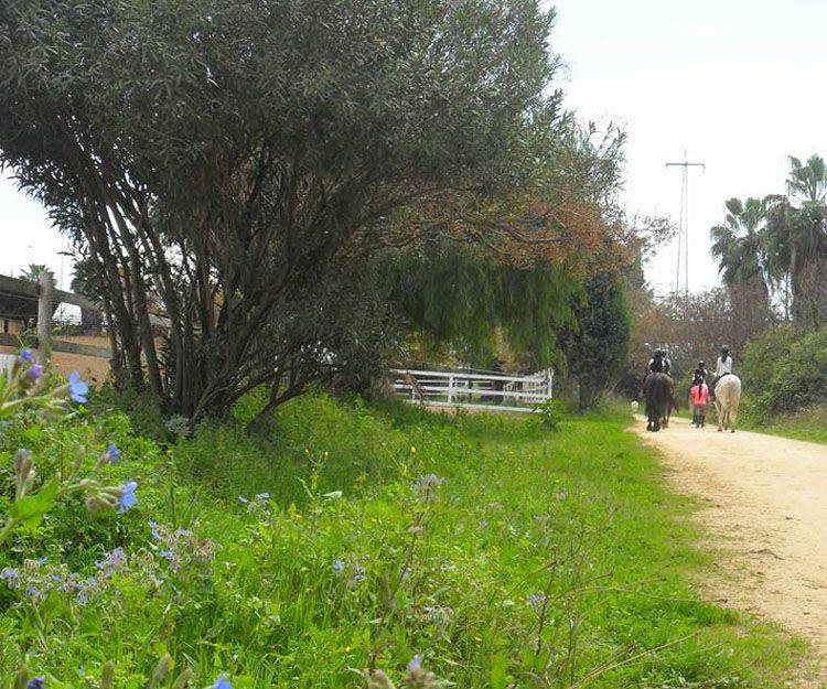 Paseos por el campo en Sevilla - Centro Hipico Doble M